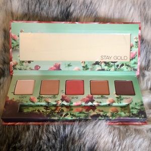 Urban Decay  Eyeshadow Palette in Daydream
